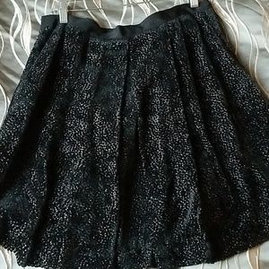 Gorgeous black silk and velvet drop waist skirt.